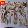 dried natural wild boletus mushroom for sale
